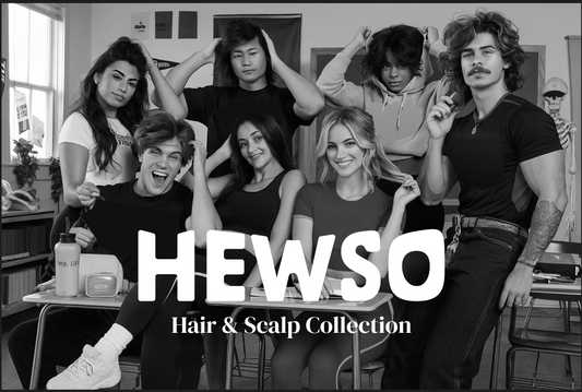 The Hewso Story
